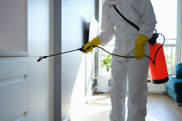 Best Mold Remediation  in Anchor Point, AK