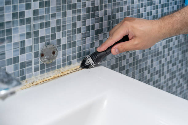 Best Toxic Mold Removal  in Anchor Point, AK
